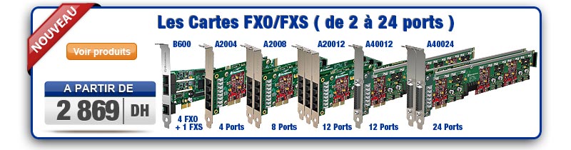 Carte FXO / FXS avec anti-echo