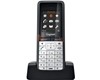 Téléphone sans Fil DECT pour Professionnel  Ecran Couleur 1.8" TFT 7 lignes 4250366824109