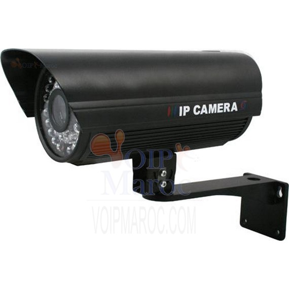 Waterproof Day And Night IP Camera With MPEG-4 Compression SR-IP150H