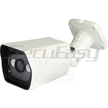 Camera IP Sans FIL WIFI 1 MP Antivandale infrarouge