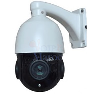 CAMERA IP MINI HIGH SPEED DOME 2MP ZOOM10X + AUDIO