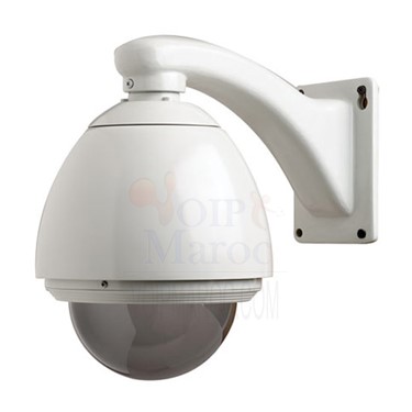 Caisson de Protection Extérieur de type "Dôme" pour Webcam Réseau D-Link