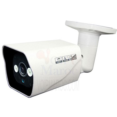 Camera IP 2 MP Etanche Weatherproof Infrarouge + Audio