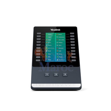 Module d'extension 20 touches Ecran couleur 4,3" 272 x 480 série T5