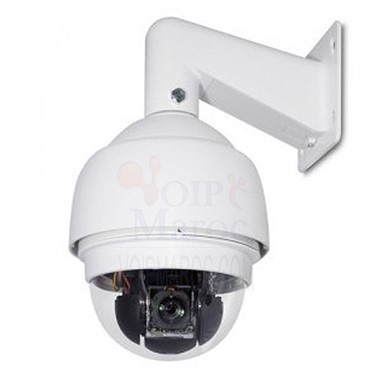 CAMERA HYBRIDE IP SPEED DÔME