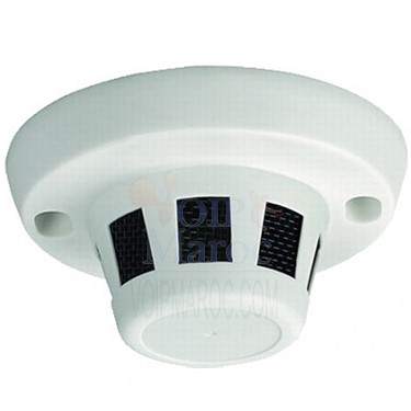 Caméra Caché Extérieur 4MP 1080P